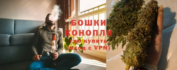 шишки Беломорск