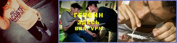 шишки Беломорск
