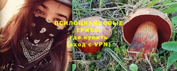 шишки Беломорск
