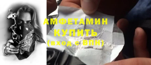 шишки Беломорск