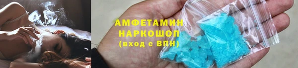 шишки Беломорск