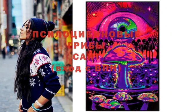 эйфоретик Белокуриха