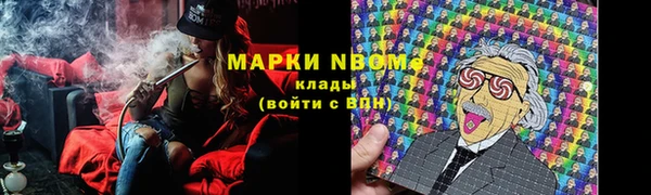 шишки Беломорск