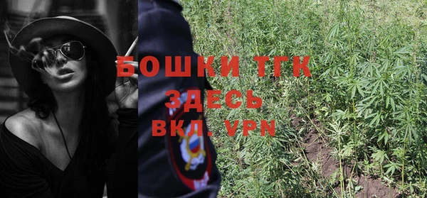 шишки Беломорск