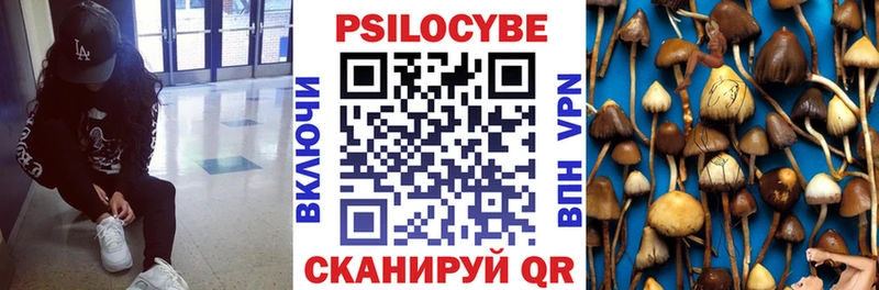 Псилоцибиновые грибы GOLDEN TEACHER  Купить закладки  Сим 